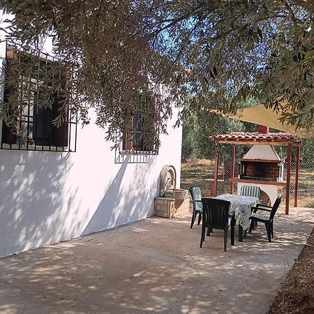 The Small House In The Olive Grove Lefokastro Exteriör bild