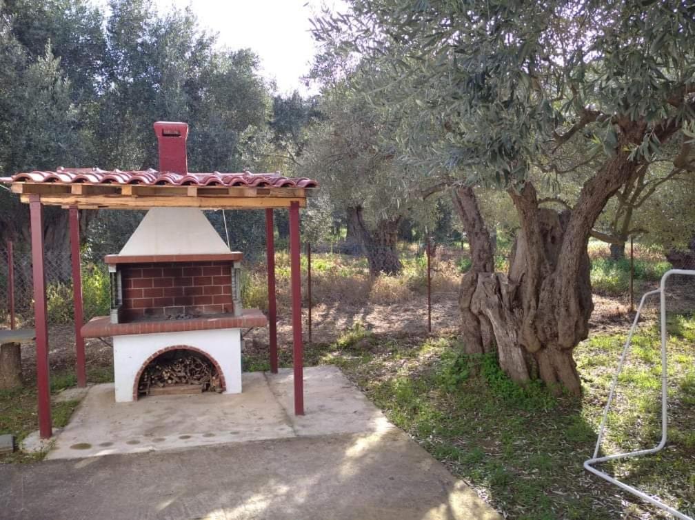 The Small House In The Olive Grove Lefokastro Exteriör bild
