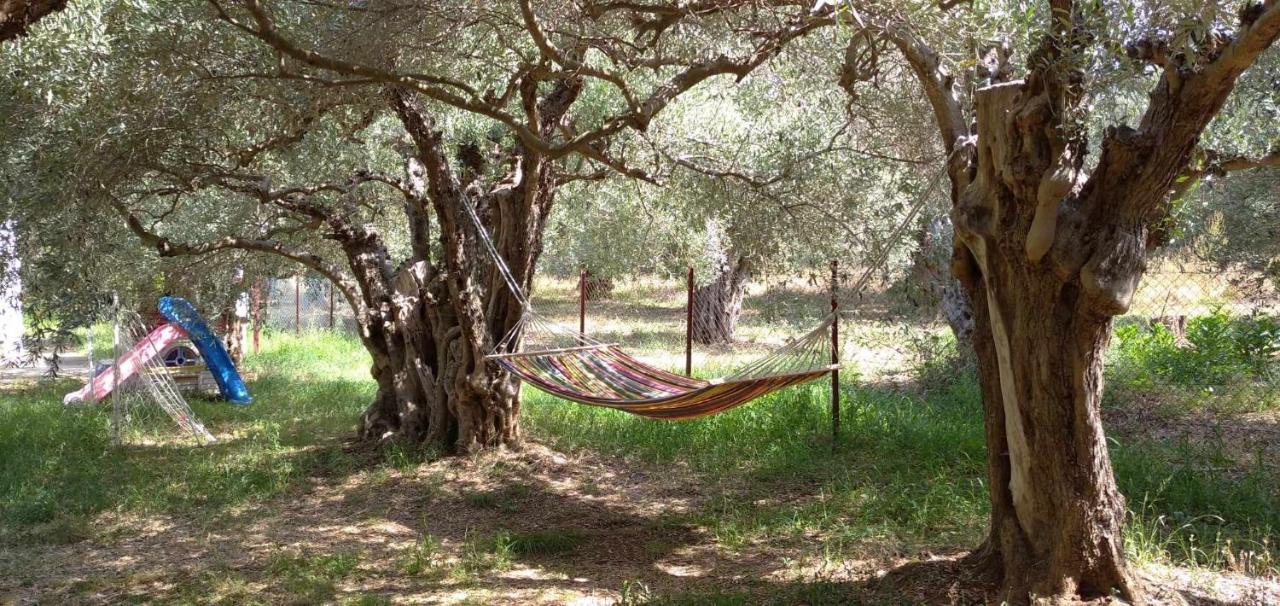The Small House In The Olive Grove Lefokastro Exteriör bild