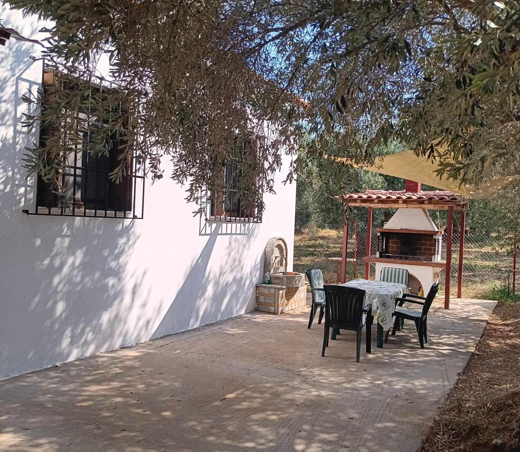 The Small House In The Olive Grove Lefokastro Exteriör bild