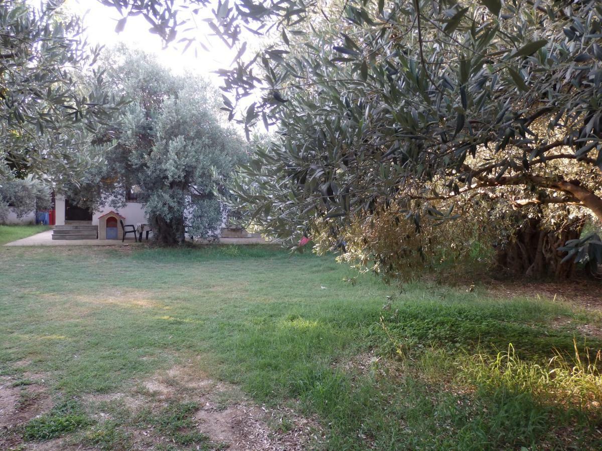 The Small House In The Olive Grove Lefokastro Exteriör bild