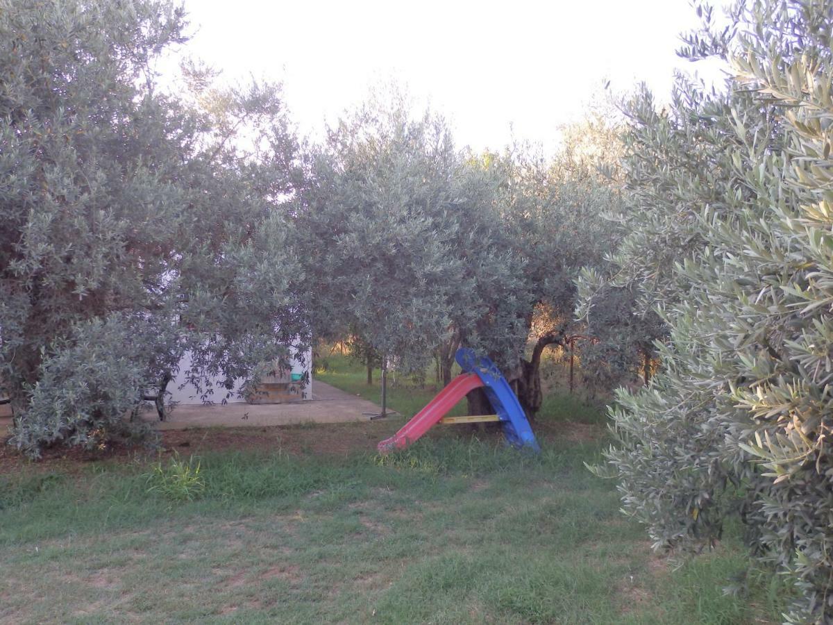 The Small House In The Olive Grove Lefokastro Exteriör bild