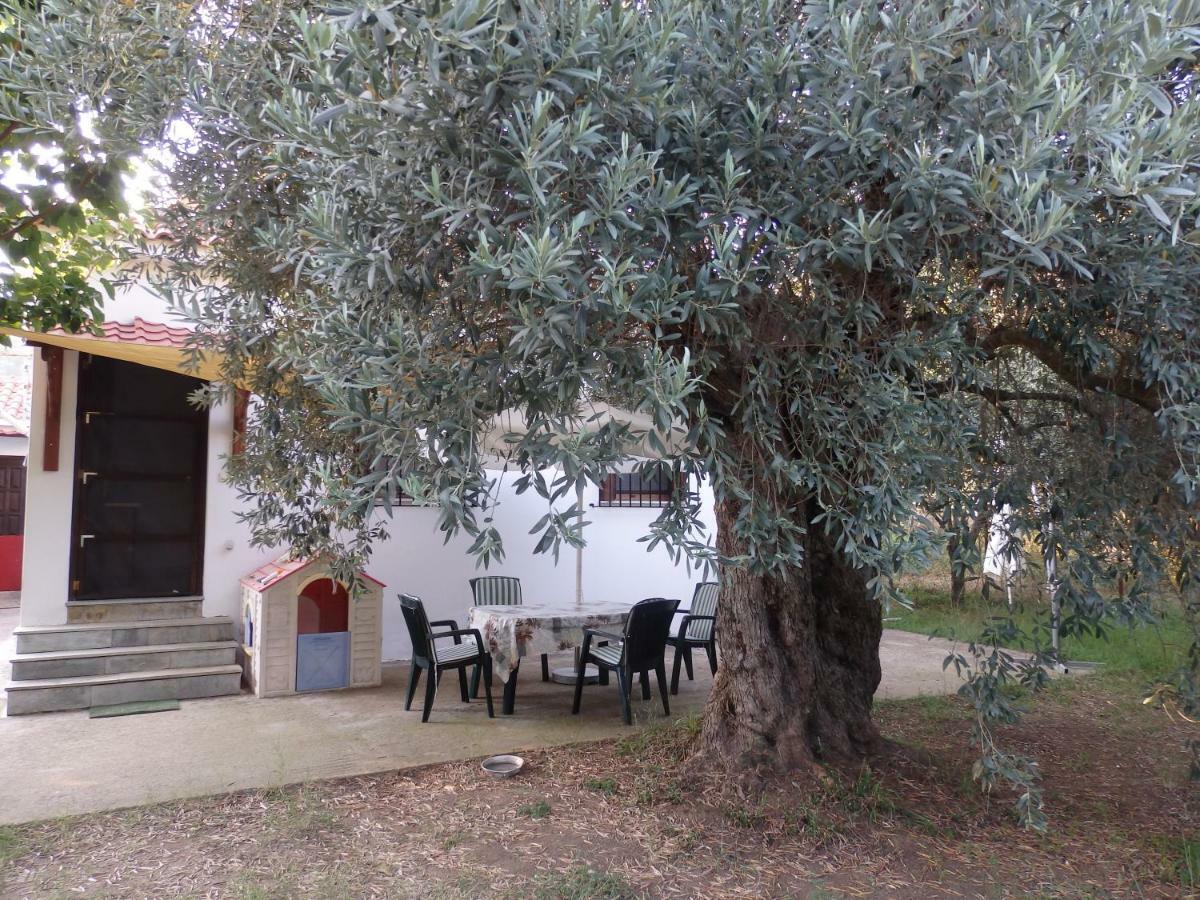 The Small House In The Olive Grove Lefokastro Exteriör bild